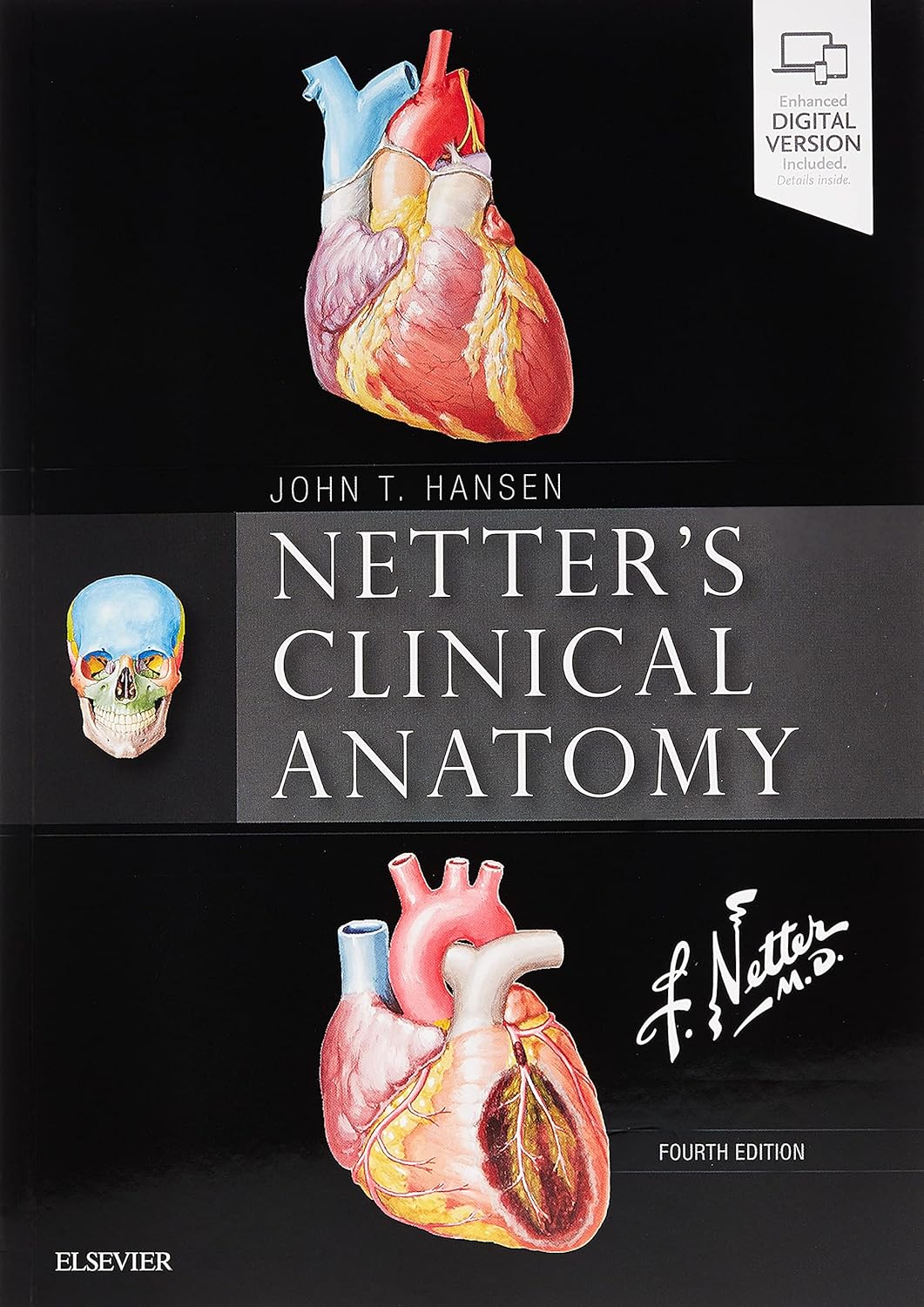 Clinical Anatomy