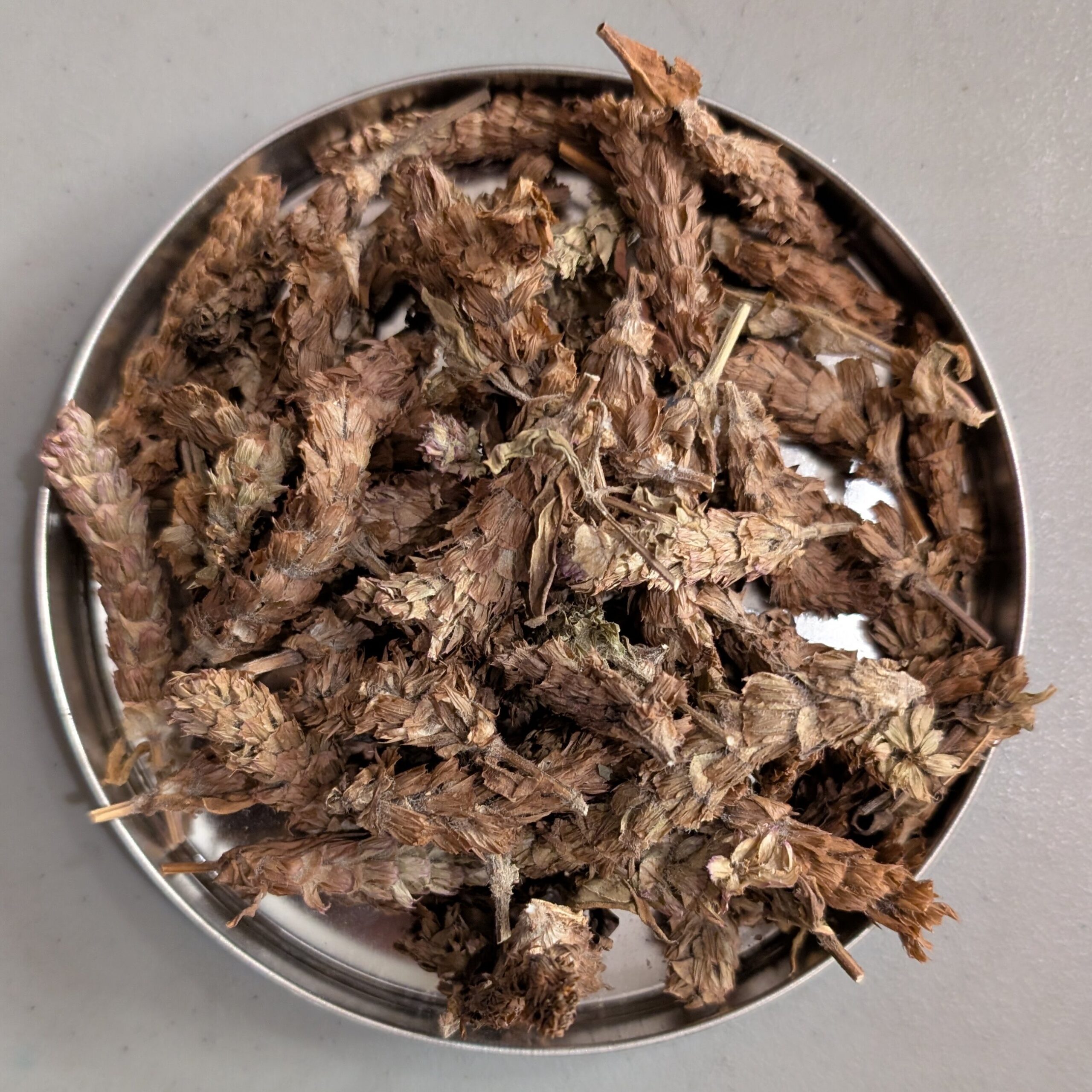 夏枯草