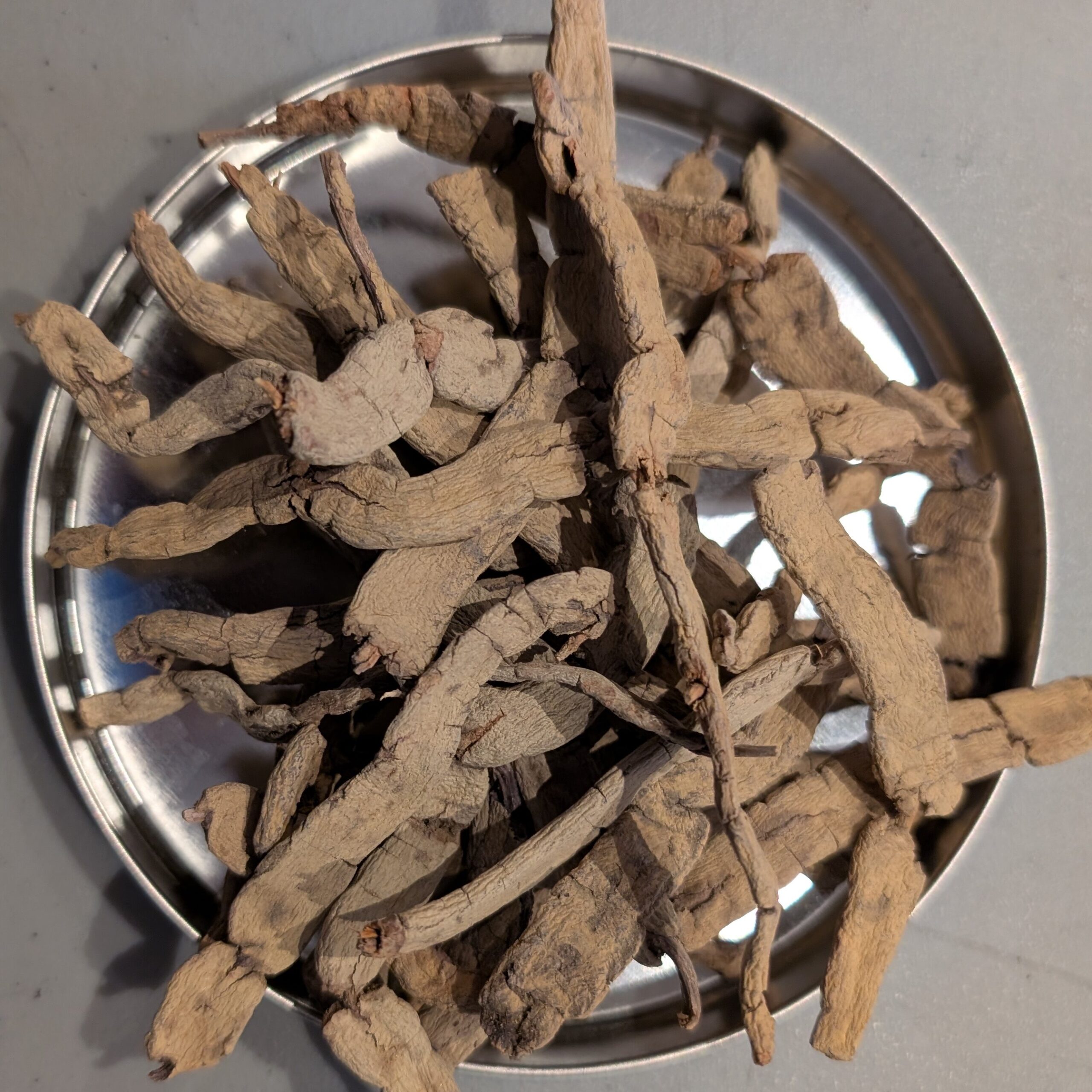 巴戟天