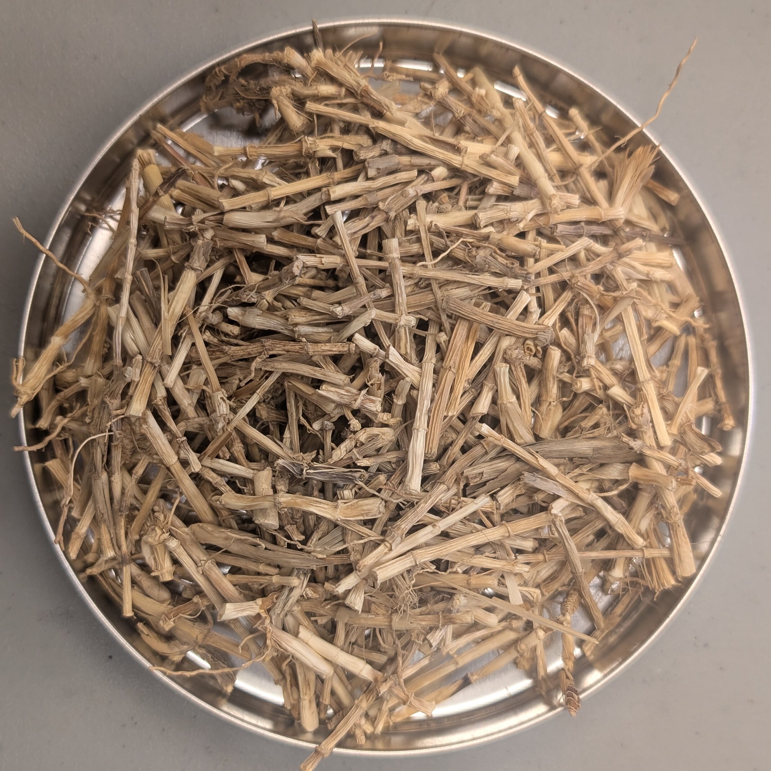 白茅根